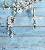 Spring Flowers Branches