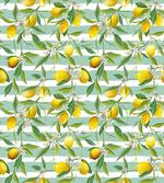 Blooming Lemon Tree