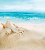 Pastel Beach Scene