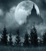 Magic Castle Design