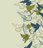 Flock of Flying Pigeons
