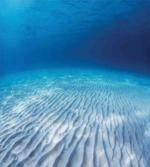 Clear Water and Waves
