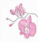 Simple Hand-drawn Flowers