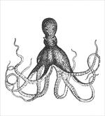 Aquatic Animal Sketch