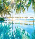 Palm Tree Hotel Pool