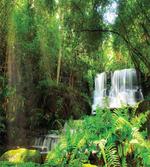Spring Botanic Forest