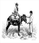Water Carrier Vintage Sketch