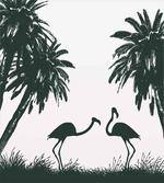 Flamingos and Palm Trees