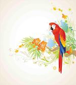 Parrot Tree Branch Flora