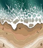 Foamy Sea Waves Bay