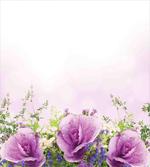 Spring Fragnant Bouquet artwork