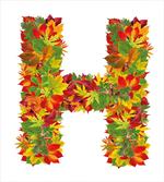 Vibrant Leaf Bouquet