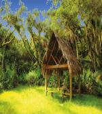 Tropic Hut Woods