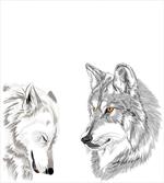Sketchy Portraits Wildlife