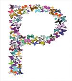 Animal World Alphabet