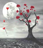 Romantic Full Moon Night