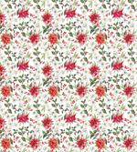Poinsettia Rowan