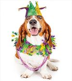 Happy Dog Jester Hat