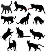 Red Ball Animal Pet Kittens