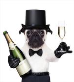 Celebration Dog Toasting artwork