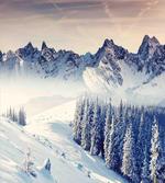 Snowy Winter View