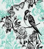 Mockingbird on Rose Tree