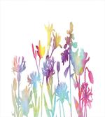 Colorful Ombre Floral Art