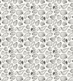 Sketch Seashells