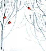 Woods Bullfinches