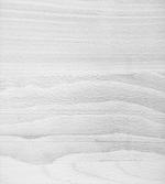 Close up Wood Surface