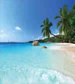 Anse Lazio Beach Surf