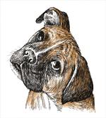 Sketchy Furry Puppy Pet