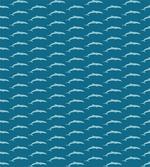 Ocean Mammals Wildlife