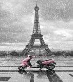 Paris Scene Moped