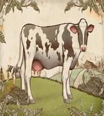 Dairy Cattle Farmland