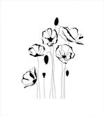 Monochrome Herbs Buds
