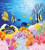 Fish Coral Reefs