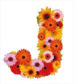 Saesonal Floral Vivid