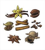 Cinnamon Anise Star Cardamom