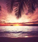 Sunset Ocean Waves