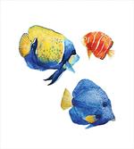 Tropic Accents Aquarium