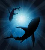 Fish Silhouettes Swimming