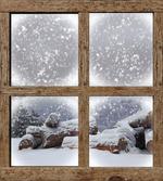 Rustic Snowy Woodsy Frame