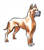 German Mastiff Dog