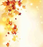 Flying Leaves Season