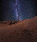 Desert Lunar Life on Mars