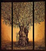 Greece Olive Trees