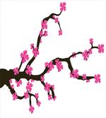 Botany Theme