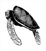 Floating Tortoise Design