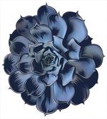 Echeveria Cactus Blossom artwork